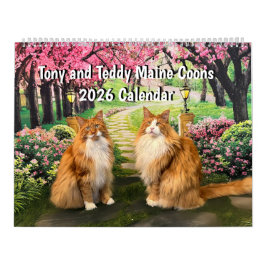 Calendário 2026 Tony and Teddy Maine Coons Calendar