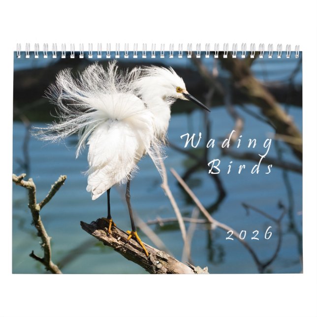 Calendário 2026 Wading Birds Original Photo Calendar (Capa)