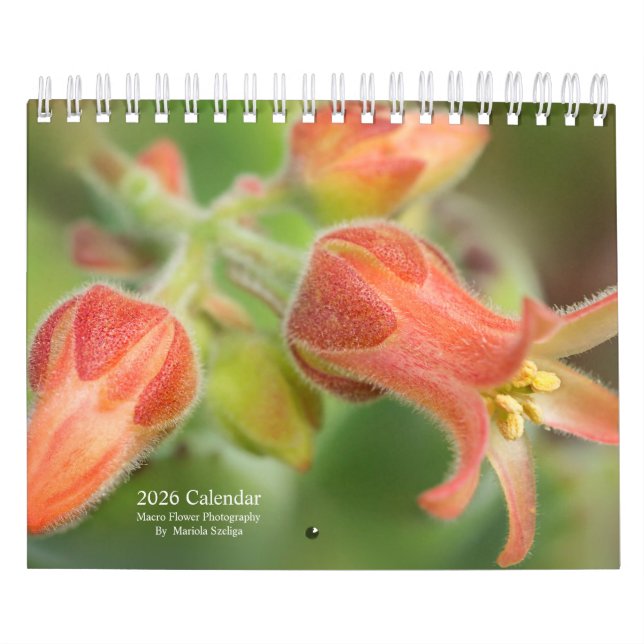 Calendário 2026 Wall Calendar Flowers in Macro Photography (Capa)