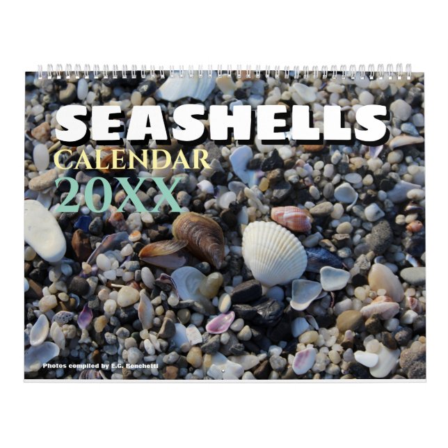 Calendário 2026 Wall Seashell Calendar Beach Shells Gift (Capa)