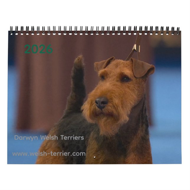 Calendário 2026 Welsh Terrier Calendar (Capa)