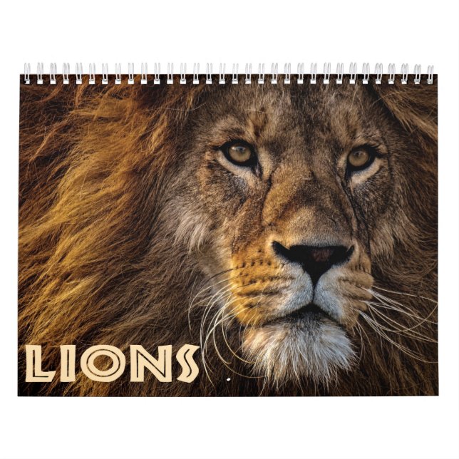 Calendário 2026 Wild Lions (Capa)