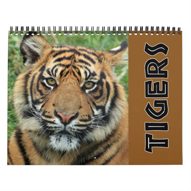 Calendário 2026 Wild Tiger (Capa)