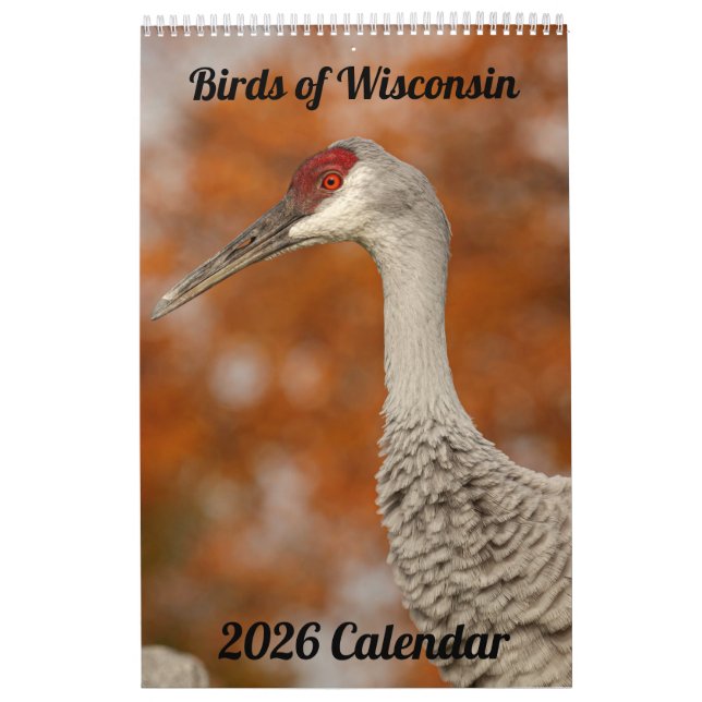 Calendário 2026 Wisconsin Birds Calendar (Capa)