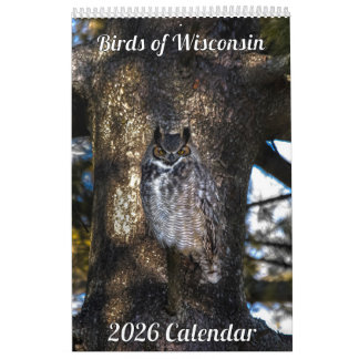 Calendário 2026 Wisconsin Birds Calendar