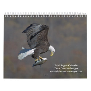 Calendário 2027 Águias-Americanas Adultas   Fotografia da Vid
