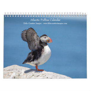 Calendário 2027 Atlânticos Papagaios-do-mar Fotografia de V