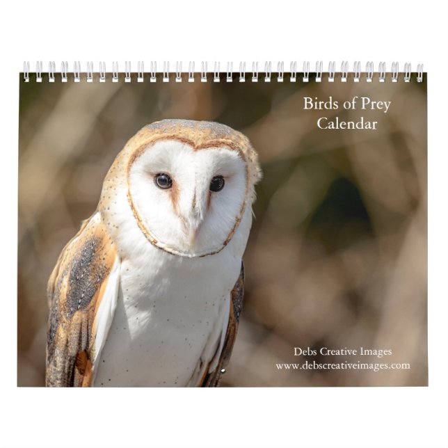Calendário 2027 Aves de Rapina | Raptores Norte-Americanos (Capa)