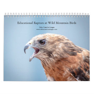 Calendário 2027 Aves Educativas em Aves da Montanha Selvagem