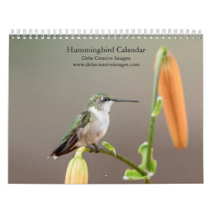 Calendário 2027 Beija-flores Pequenas Joias da Natureza