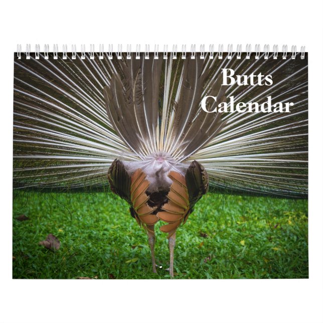 Calendário 2027 Bundas (Capa)