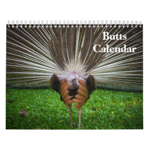 Calendário 2027 Bundas