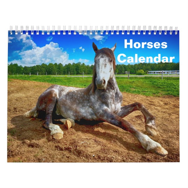Calendário 2027 Cavalo (Capa)