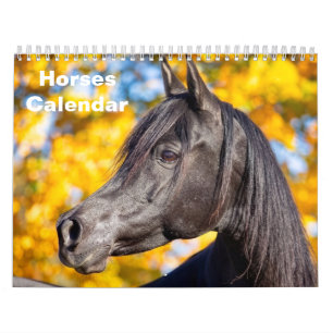 Calendário 2027 Cavalo