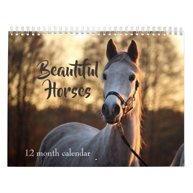 Calendário 2027 Cavalos Lindos (Capa)