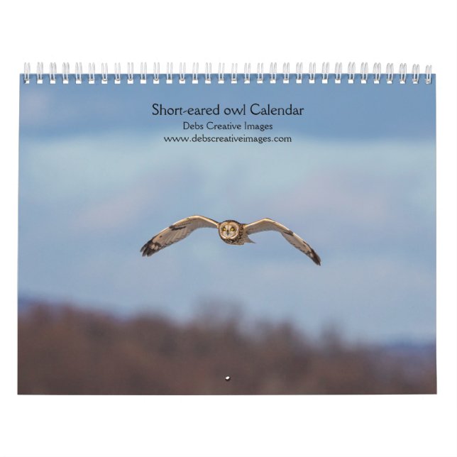 Calendário 2027 Coruja-de-orelhas-curtas | Fotografia de Coru (Capa)