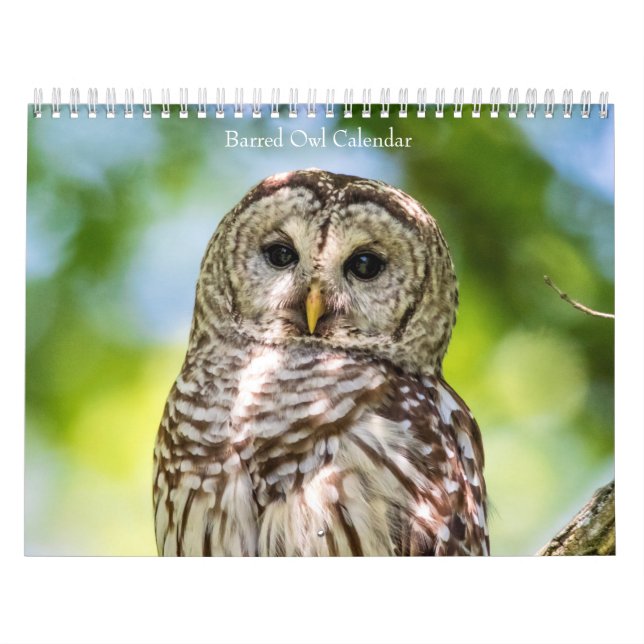 Calendário 2027 Corujas-barreadas | Mistérios da Floresta (Capa)