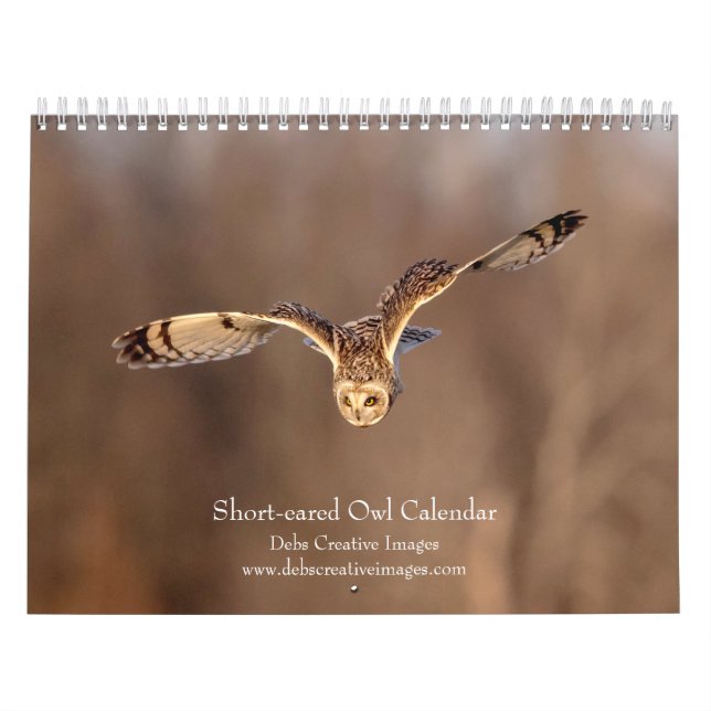 Calendário 2027 Corujas-buraqueiras, Aves de Rapina das Pasta (Capa)