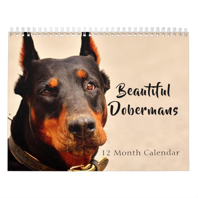 Calendário 2027 Dobermans Lindos (Capa)