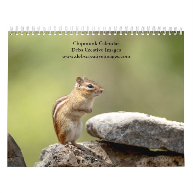 Calendário 2027 Esquilos Adirondack | Vida Selvagem da Flores (Capa)
