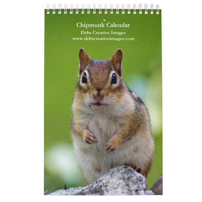 Calendário 2027 Esquilos-dos-adirondacks | Fotografia da Vida (Capa)
