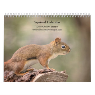 Calendário 2027 Esquilos Fotografia da Vida Selvagem na Flo