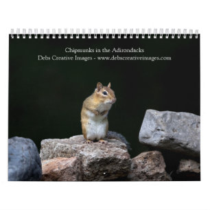 Calendário 2027 Esquilos-listrados de Adirondack Vida Selva
