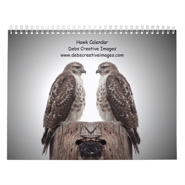 Calendário 2027 Falcões-de-cauda-vermelha & de Cooper | Vida  (Capa)
