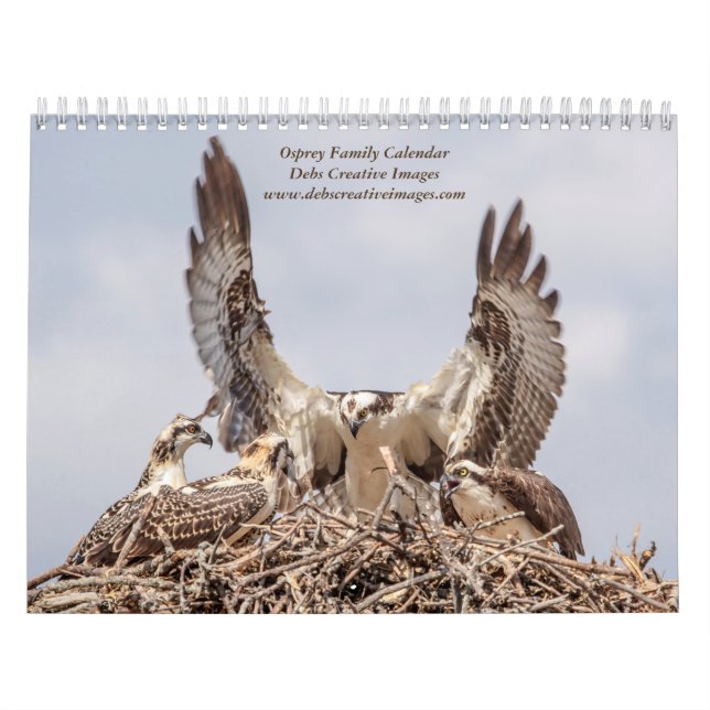 Calendário 2027 Família de Águia-Pescadora Adirondack | Vida  (Capa)