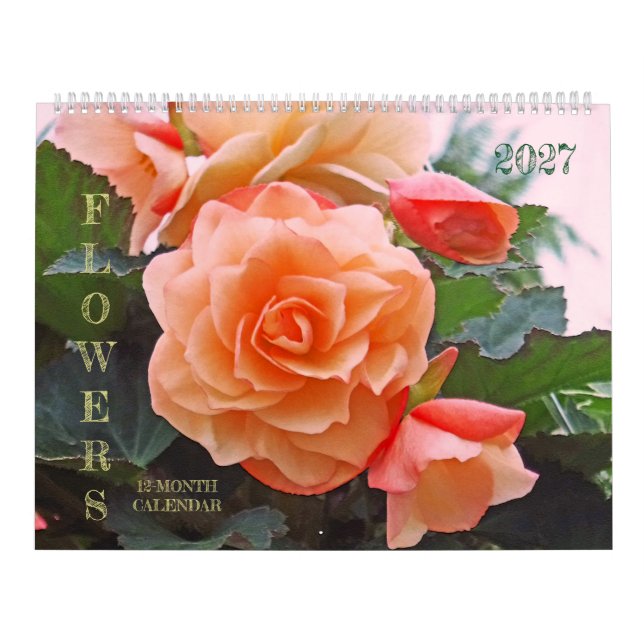 CALENDÁRIO 2027 / "FLOR" (Capa)