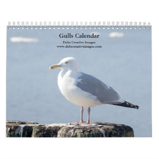 Calendário 2027 Gaivotas do Rio Hudson | Fotografia da Vida S