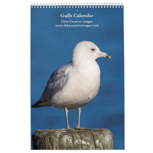 Calendário 2027 Gaivotas do Rio Hudson Fotografia da Vida S