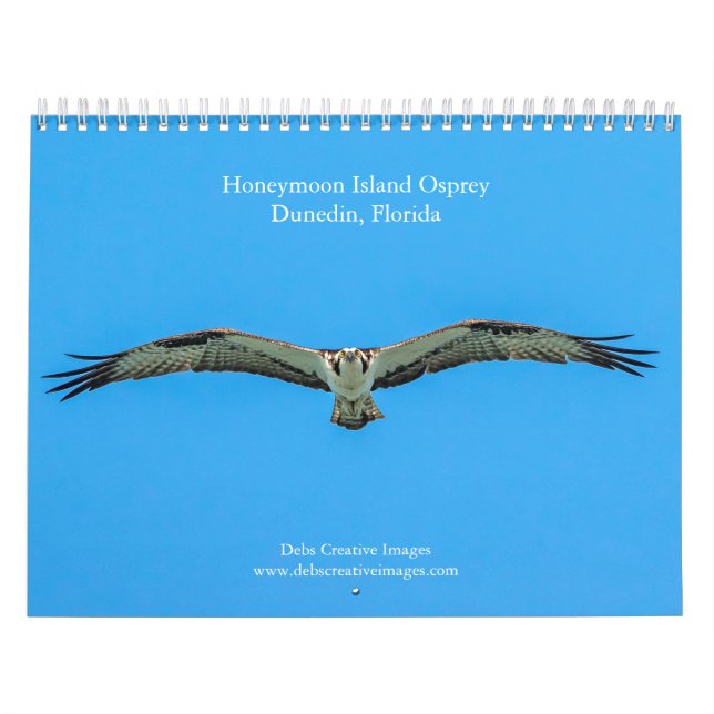 Calendário 2027 Honeymoon Island Osprey | Vida Selvagem da Fl (Capa)