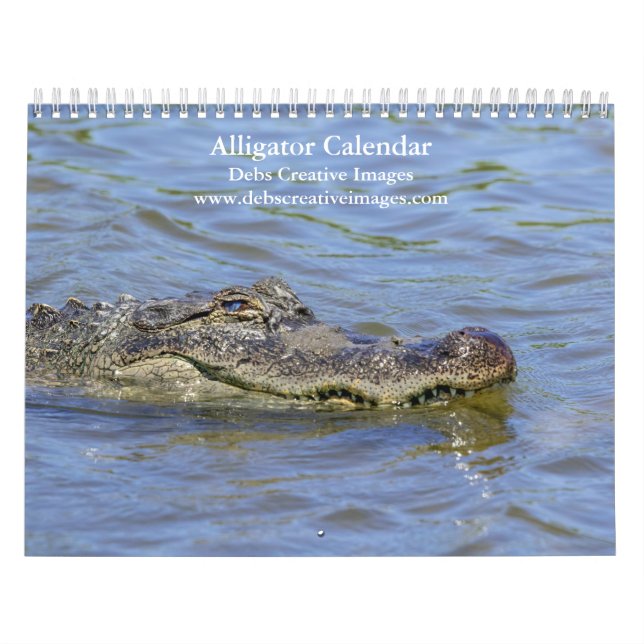 Calendário 2027 Jacarés Selvagens na Flórida | Everglades Sel (Capa)