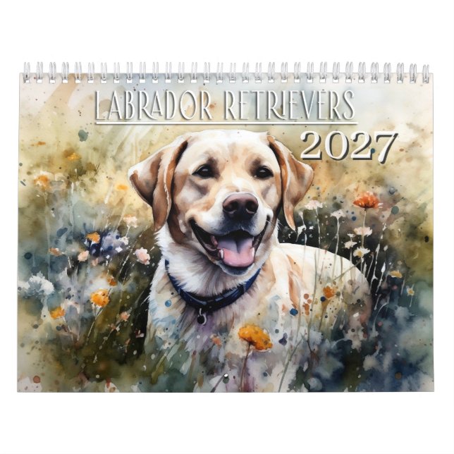 Calendário 2027 Labrador Retriever (Capa)