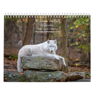 Calendário 2027 Lobos no Outono   Fotografia de Lobo de Outon