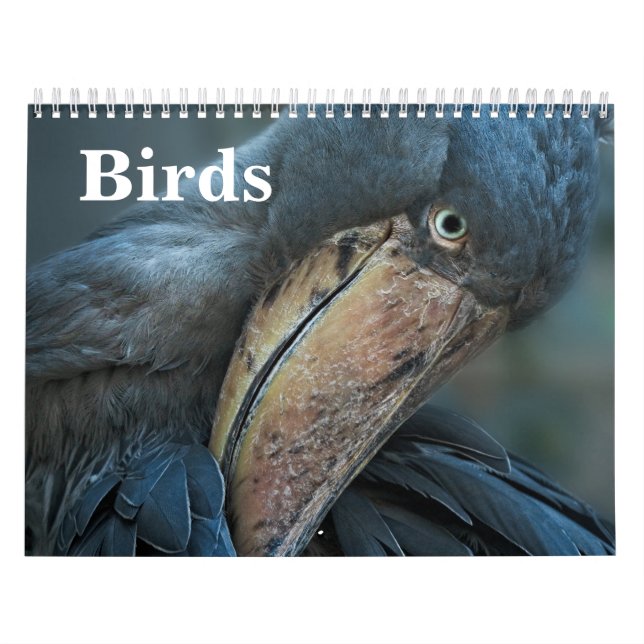 Calendário 2027 Pássaros (Capa)