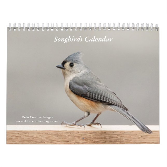 Calendário 2027 Pássaros Cantores de Quintal | Hudson Valley  (Capa)