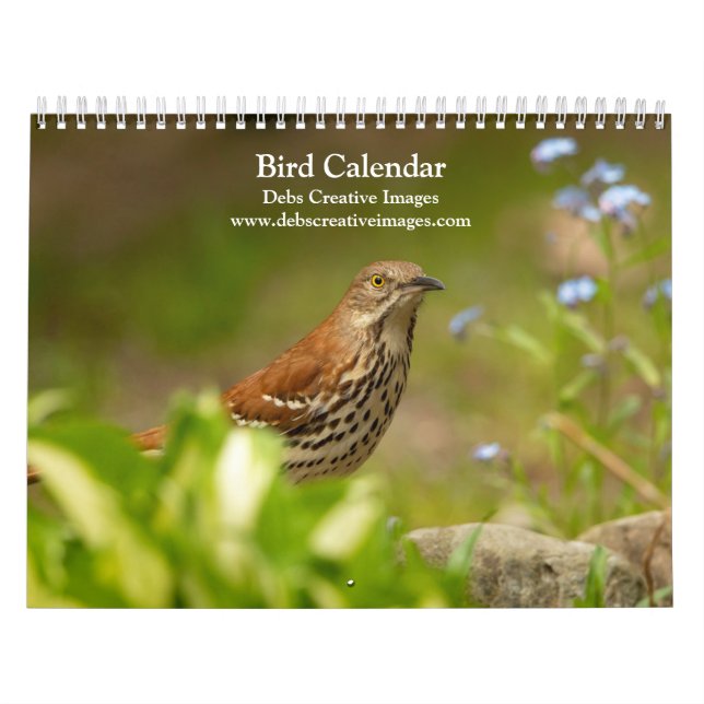 Calendário 2027 Pássaros de Muitas Penas | Aves Norte-America (Capa)