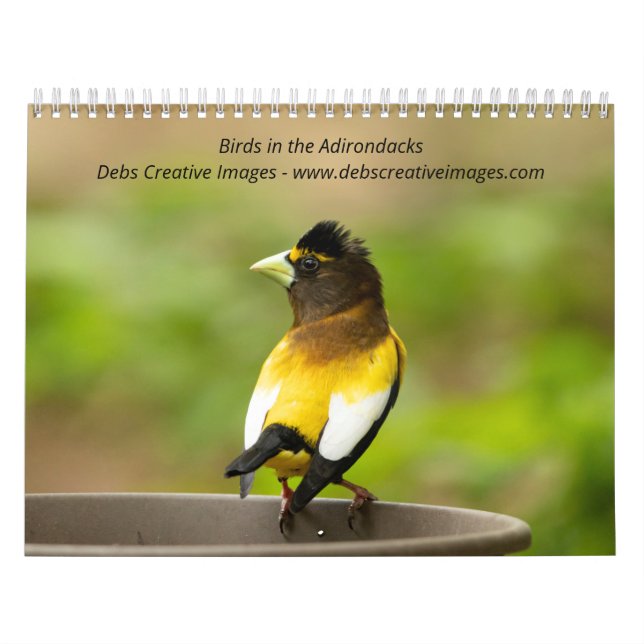 Calendário 2027 Pássaros dos Adirondacks | Pássaros Canoros (Capa)