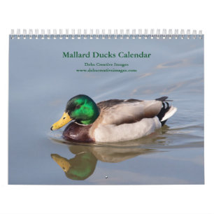 Calendário 2027 Patos-Reais Fotografia da Vida Selvagem