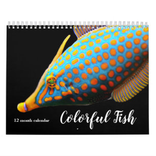 Calendário 2027 Peixes Coloridos