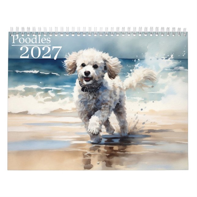 Calendário 2027 Poodles  (Capa)