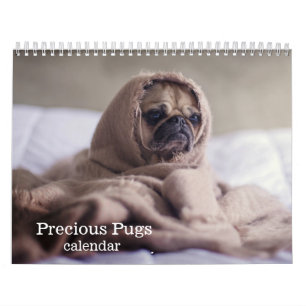 Calendário 2027 Pugs Preciosos