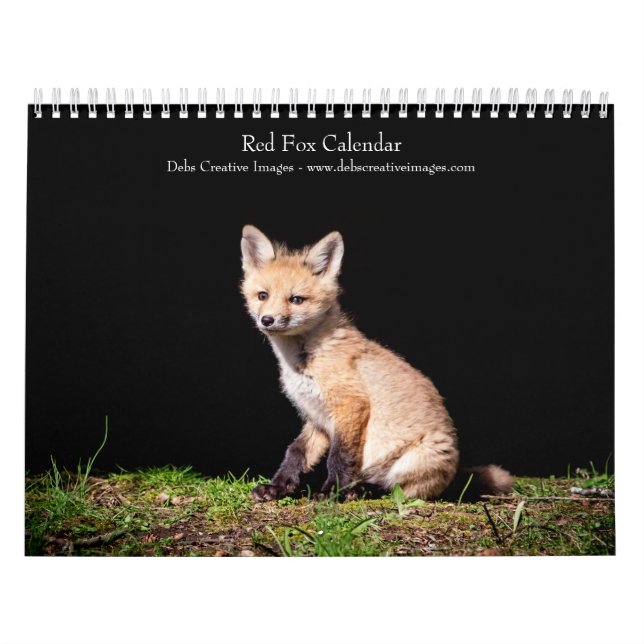 Calendário 2027 Raposas Vermelhas | Fotografia da Vida Selvag (Capa)
