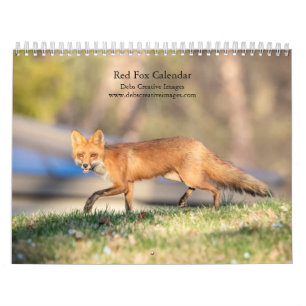 Calendário 2027 Raposas Vermelhas Fotografia de Vida Selvag