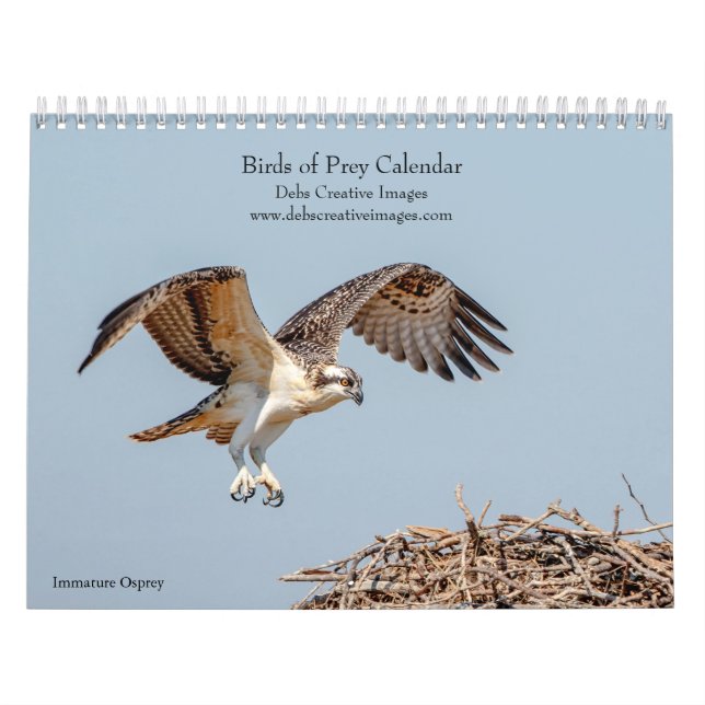 Calendário 2027 Raptores da América do Norte, Foto de Aves de (Capa)