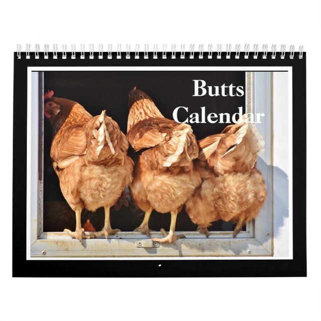 Calendário 2027 Traseiros (Capa)