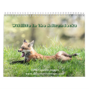 Calendário 2027 Vida Selvagem dos Adirondacks Natureza