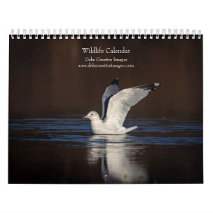 Calendário 2027 Vida Selvagem Norte-Americana Animais Selva